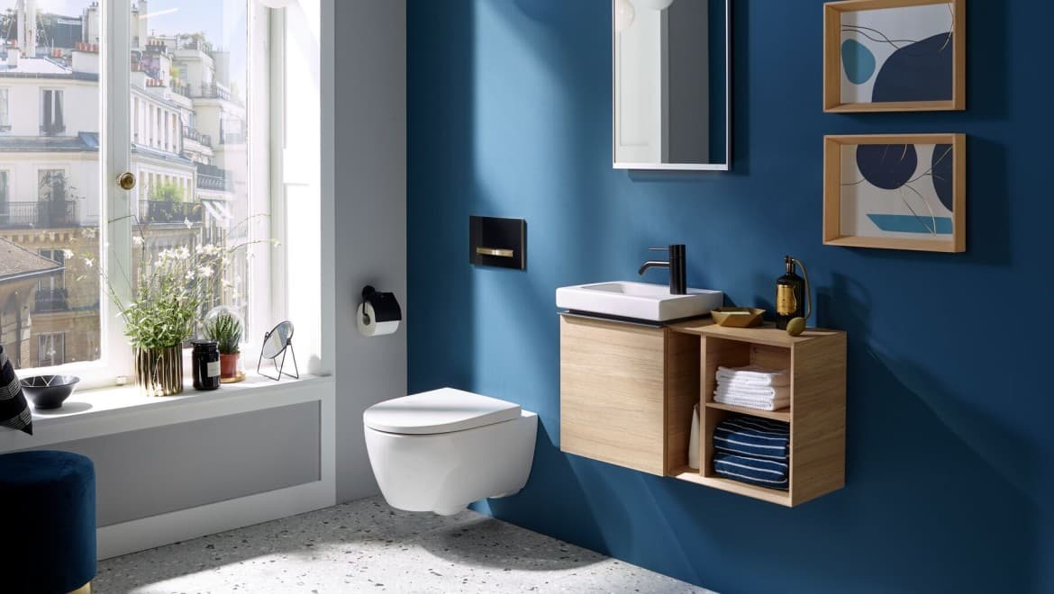 Wall-hung water closet with concealed cistern and flush plate